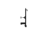 Winnebago Ekko Rear Bumper, Ladder, & Carrier Swing-Out System